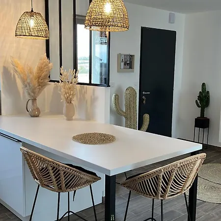 Hébergement de vacances Maison Neuve Montamisé